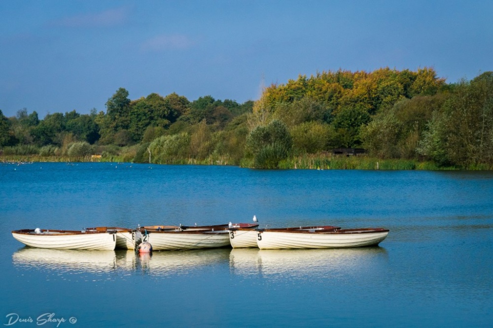 Photograph of Hatfield forest Lake