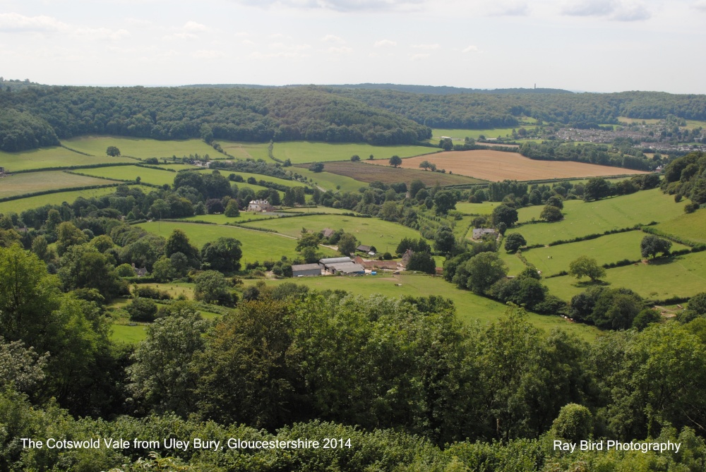 Photograph of The Cotswolld Vale from Uley Bury, Gloucestershire 2014