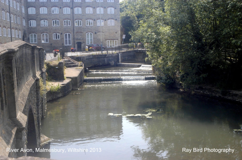 River Avon, Malmesbury, Wiltshire 2013