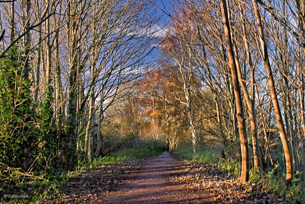 Shillingstone, Dorset
