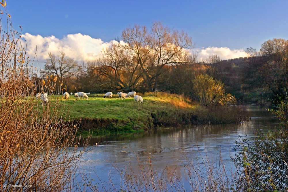 Shllingstone, Dorset.
