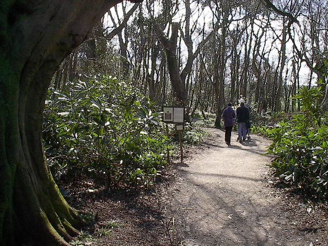 Heligan gardens Cornwall