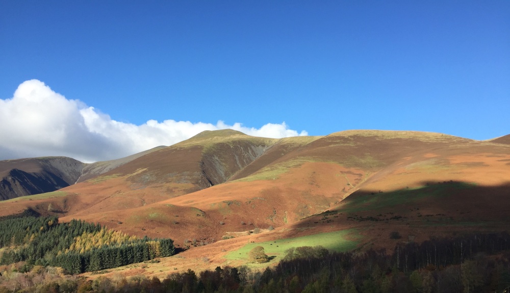 Skiddaw from Latrigg