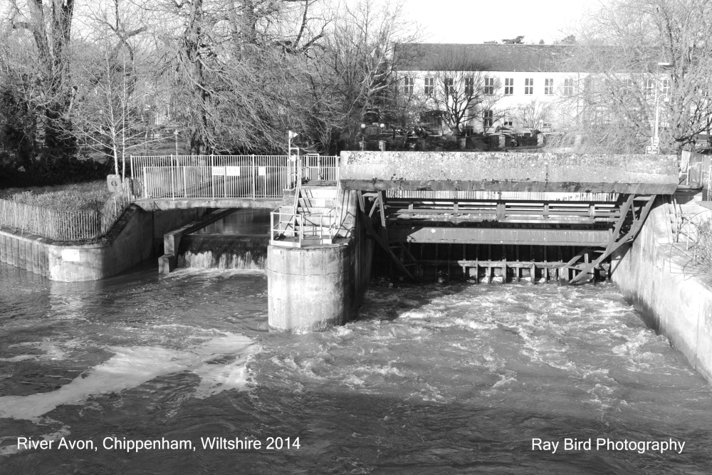 Photograph of River Avon, Chippenham, Wiltshire 2014