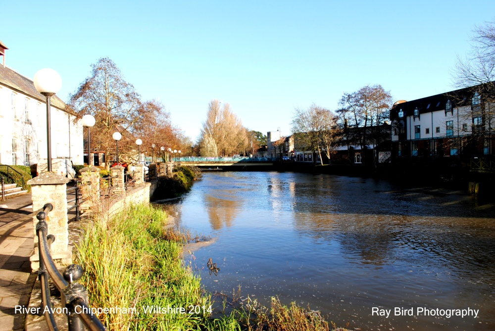 River Avon, Chippenham, Wiltshire 2014