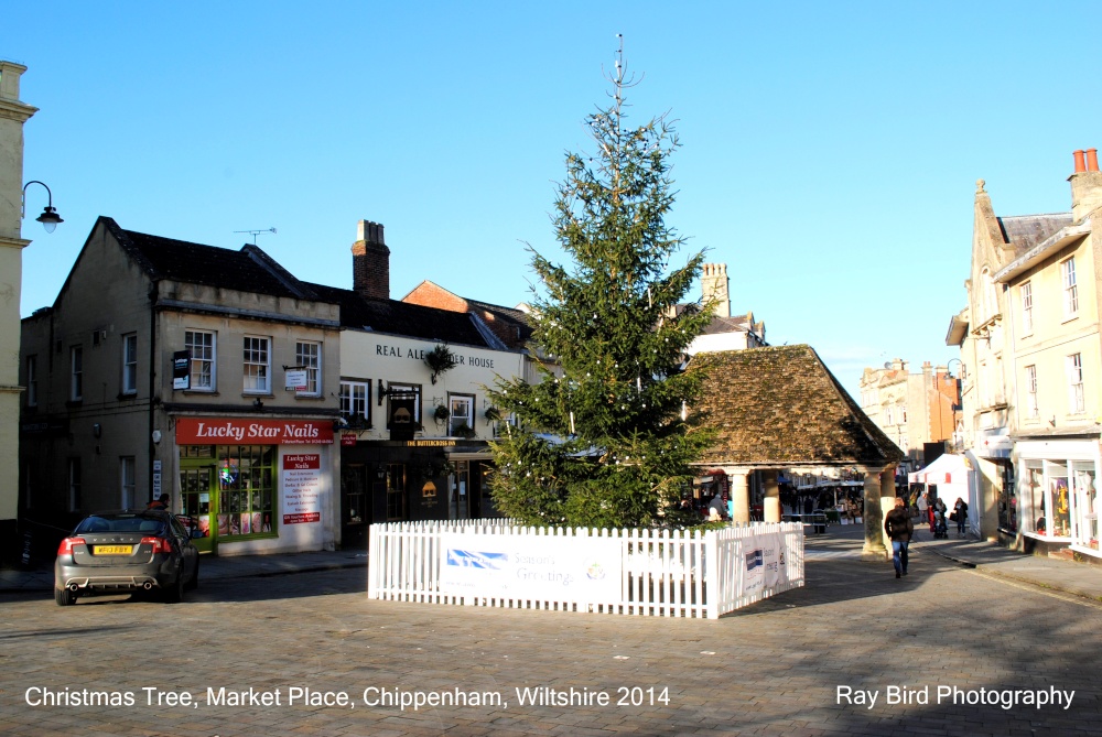 Photograph of Christmas Tree, Market Place, Chippenham, Wiltshire 2014