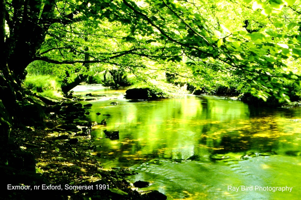 River, nr Exford, Somerset 1991