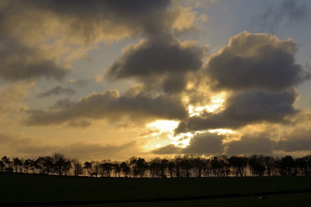 Treeline above Meerbrook, Staffordshire Moorlands