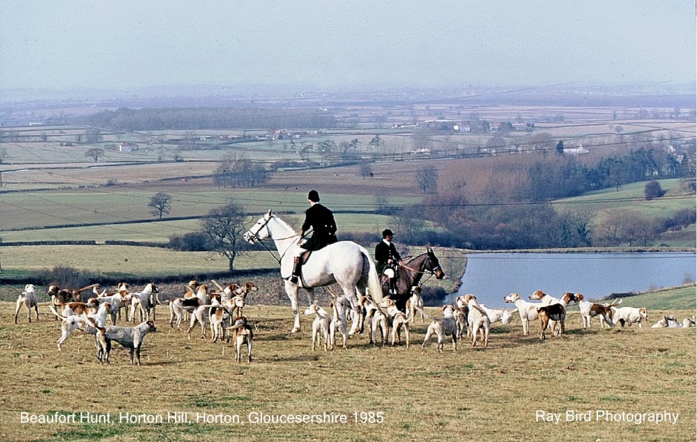 Photograph of Beaufort Hunt, Horton Hill, Horton, Gloucestershire 1985