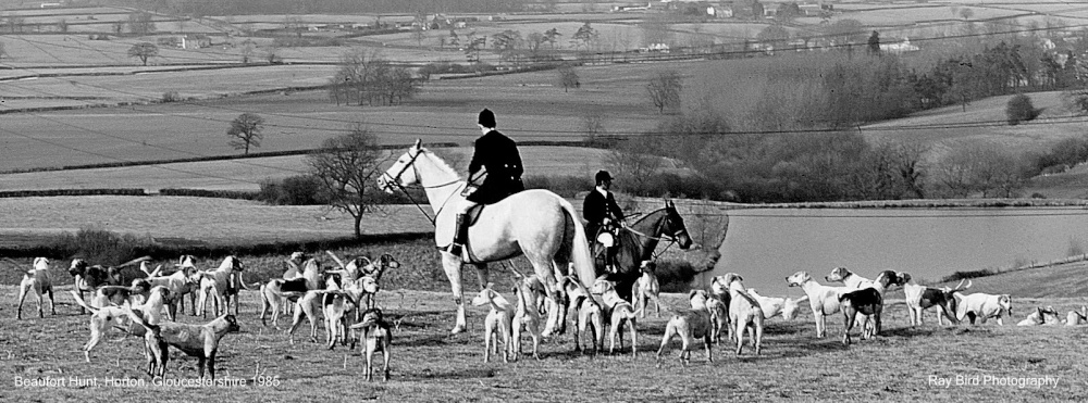Photograph of Beaufort Hunt on Horton Hill, Horton, Gloucestershire 1985