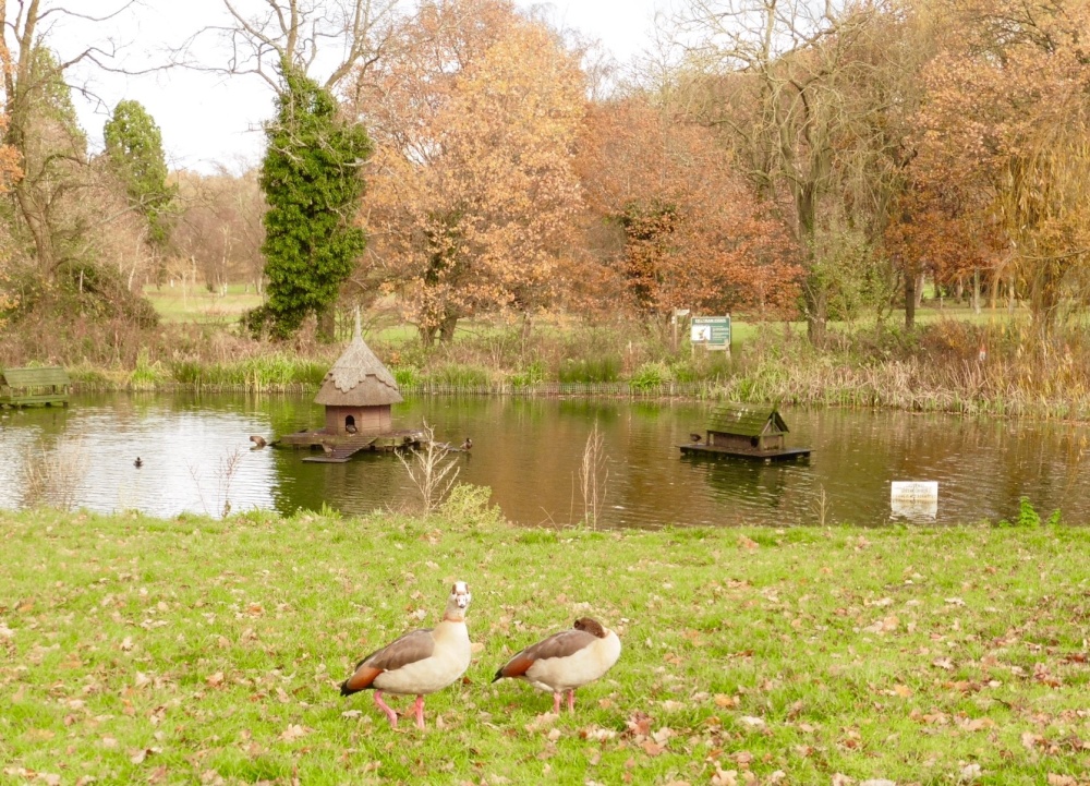 Photograph of Causway Pond