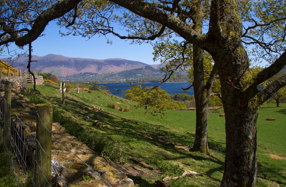 Stroll around Derwentwater