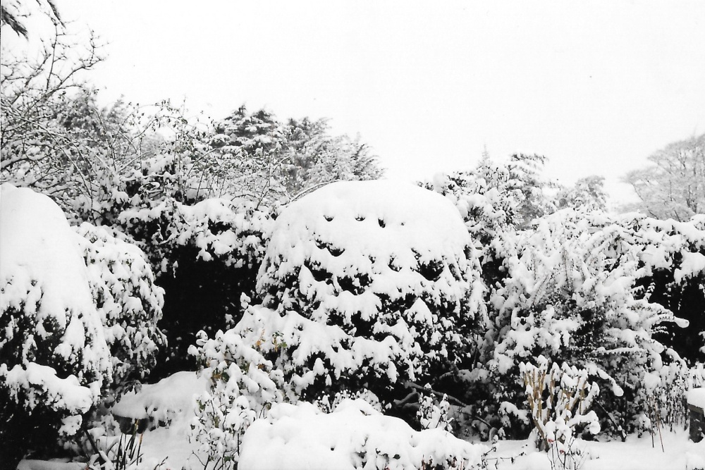 Photograph of 5 inches of snow in Walkford (January 2010)