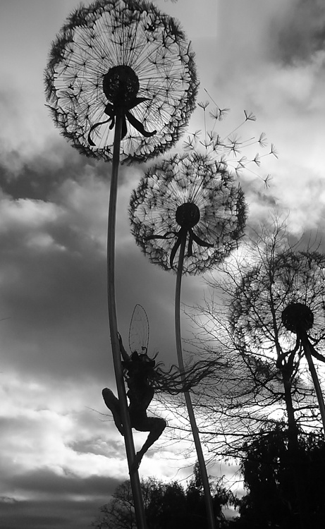 Wisley, dandelion sculpture