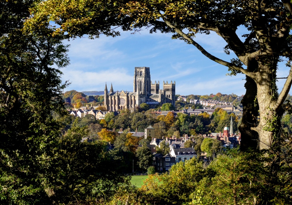 Durham City from Pelaw Wood photo by Melvyn Harland