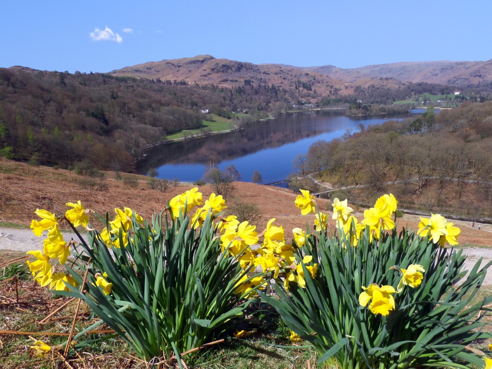Wandering Lonely Above Grasmere