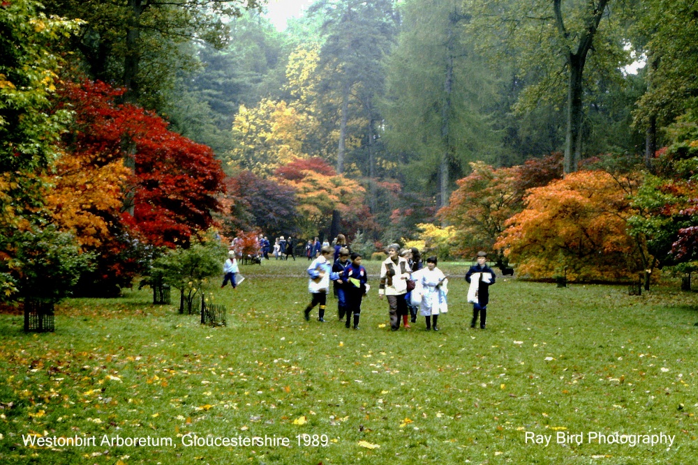 Westonbirt Arboretum, Gloucestershire 1989