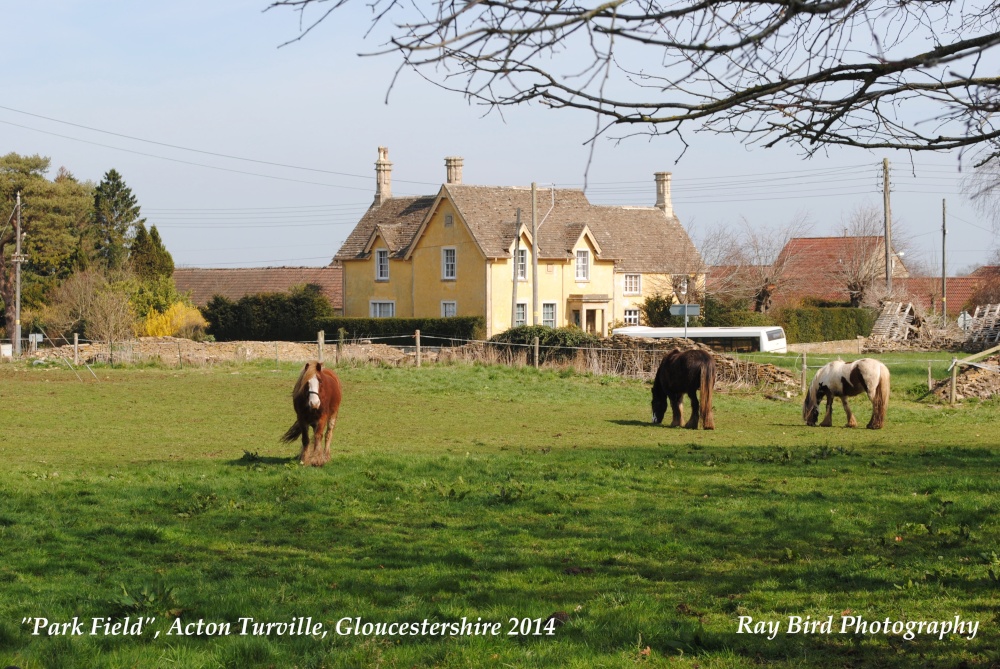 Park Field/Church Field, Acton Turville, Gloucestershire 2014