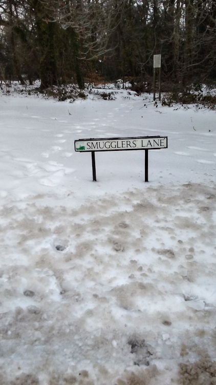 snow in colehill,  wimborne, dorset
