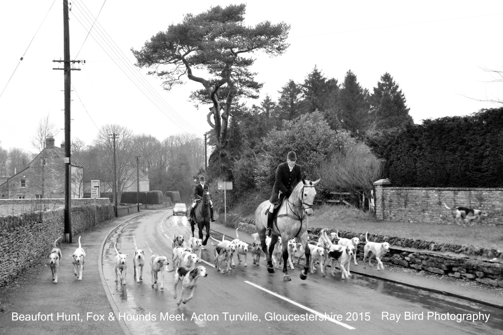 Beaufort Hunt, Acton Turville, Gloucestershire 2015
