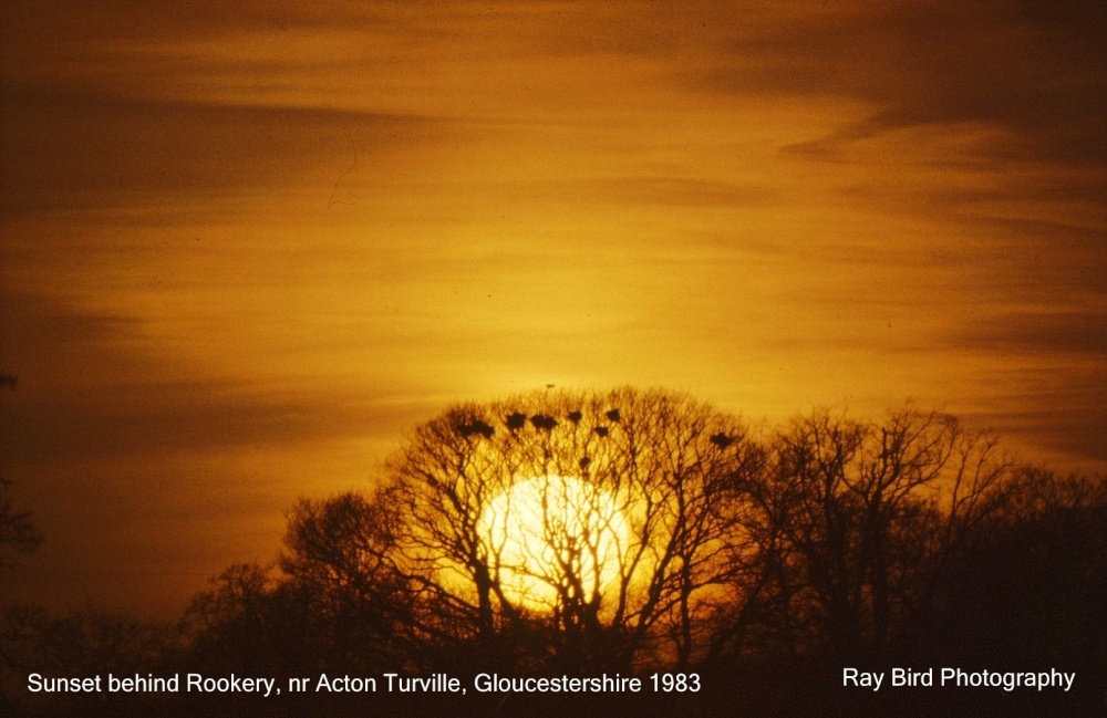 Sunset over Rookery, Acton Turville, Gloucestershire 1983