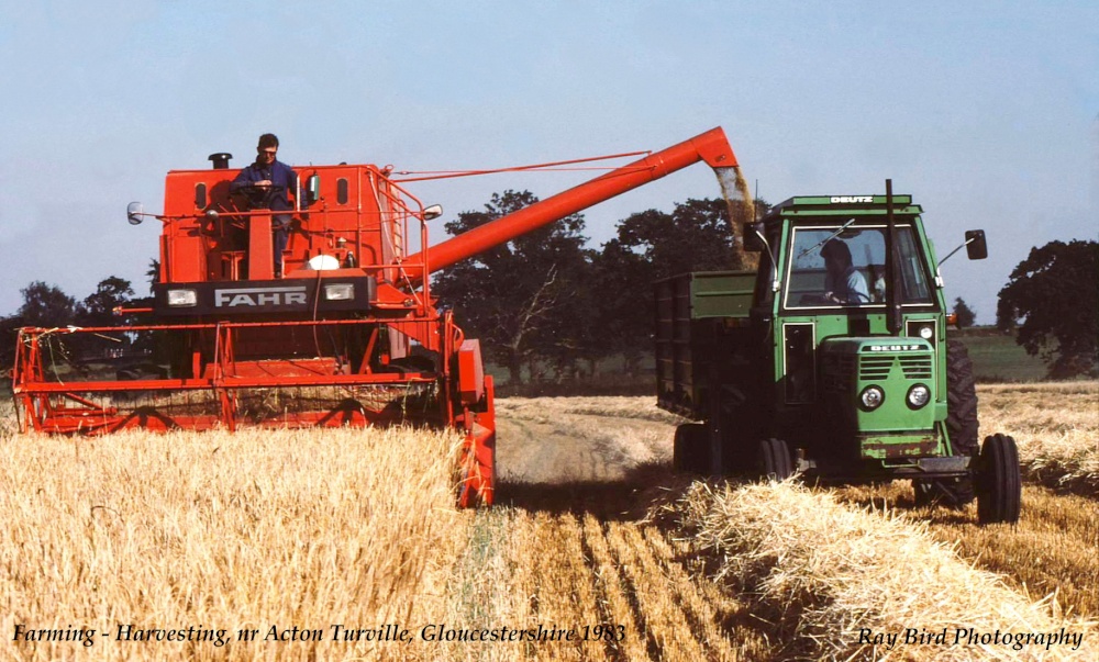 Harvesting, nr Acton Turville, Gloucestershire 1983
