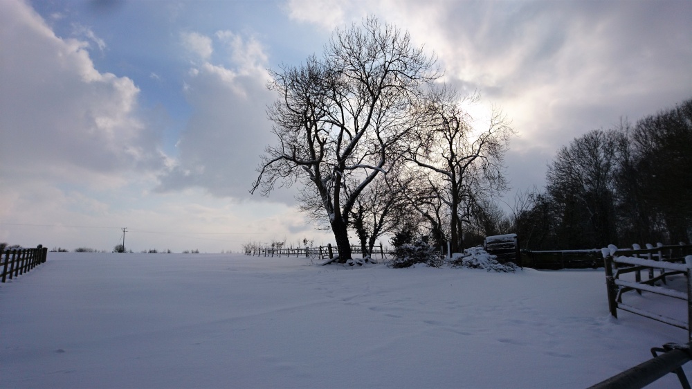 Beast from the East arrives in Laxfield.