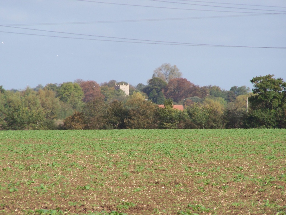 A view of Cratfield church across the field