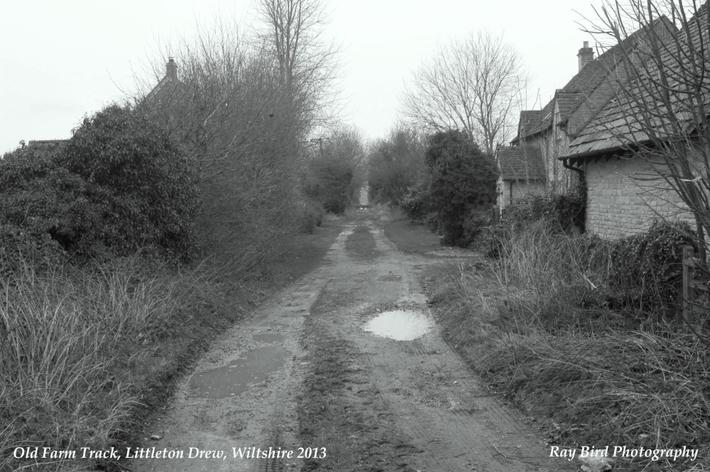 Old Farm Lane, Littleton Drew, Wiltshire 2013