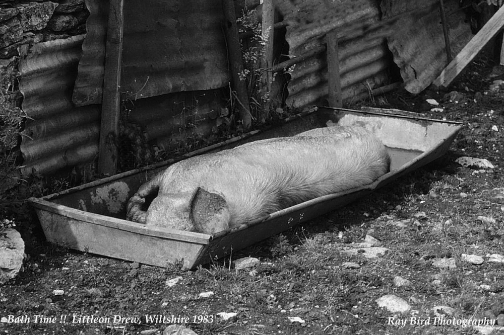 Bathtime !! Littleton Drew, Wiltshire 1983