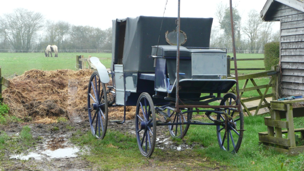 Horse carriage on farm land near village of Laxfield Suffolk