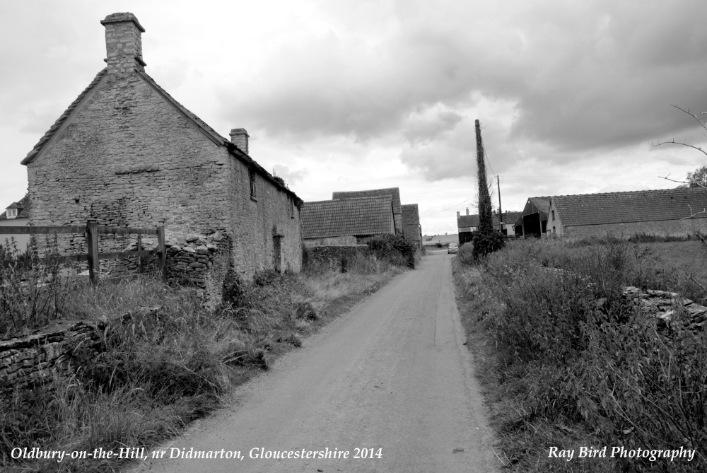 Oldbury on the Hill, Didmarton, Gloucestershire 2014