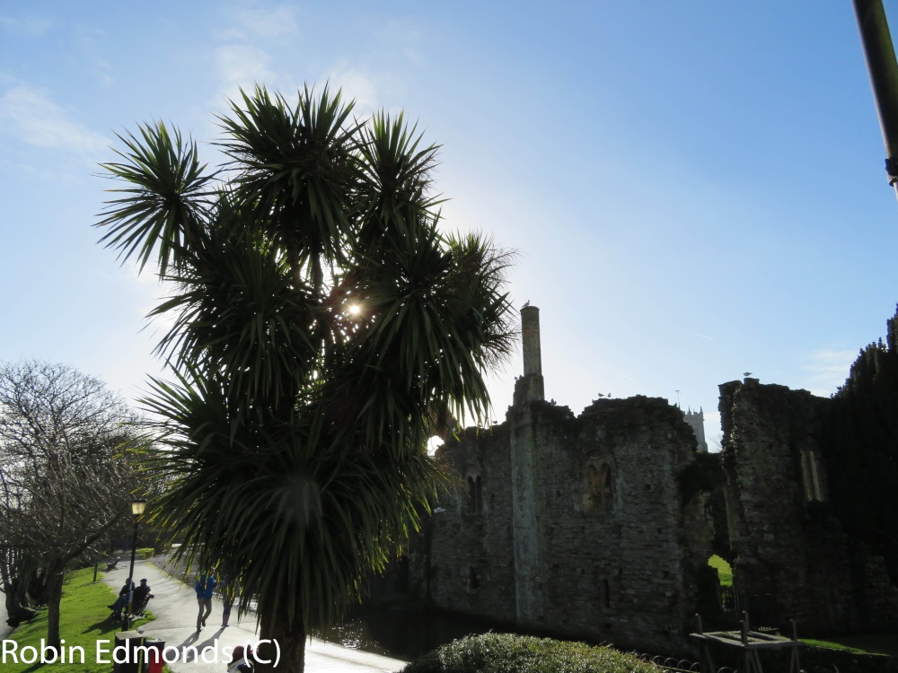 Sunny day in Christchurch