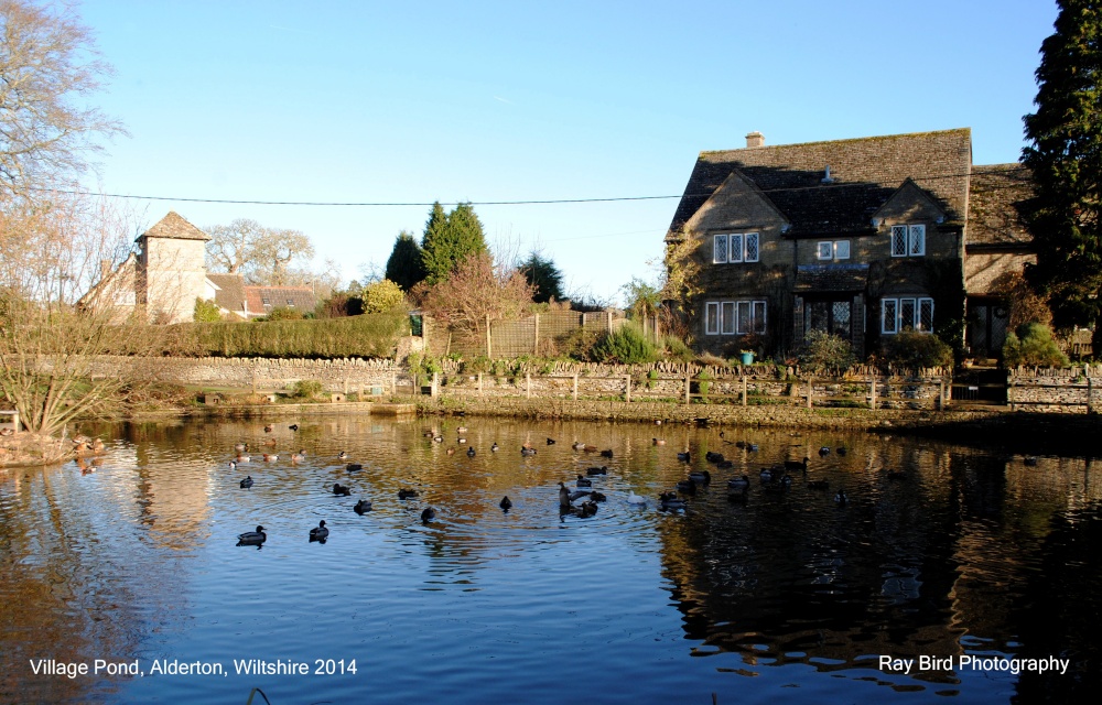 The Village Pond, Alderton, Wiltshire 2014