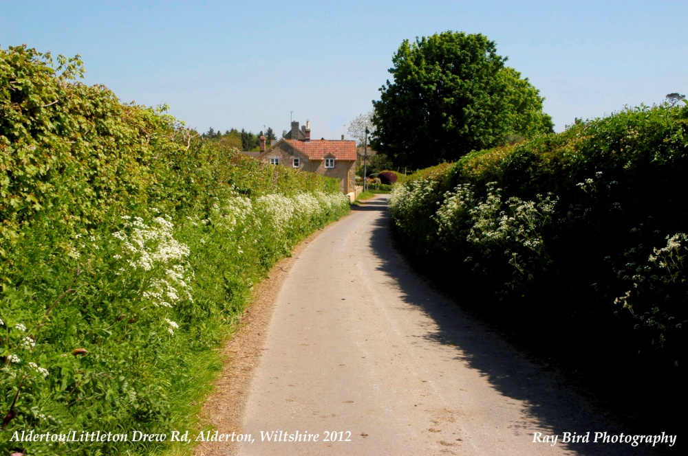 Littleton Drew Lane, Alderton, Wiltshire 2012