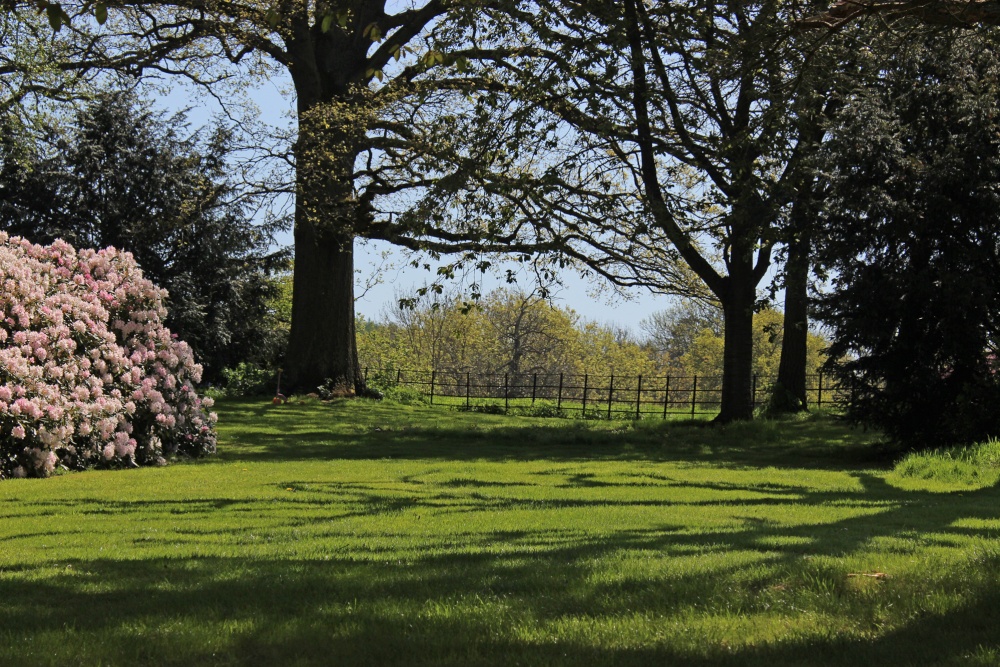 Shadows on the Lawn photo by Karen Lee