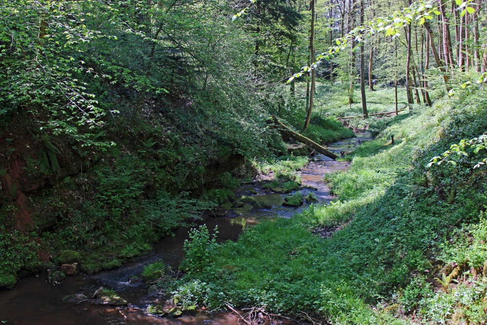 The Dingle photo by Karen Lee