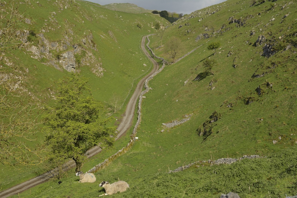 Dowel Dale near Earl Sterndale, Peak District National Park, Derbyshire