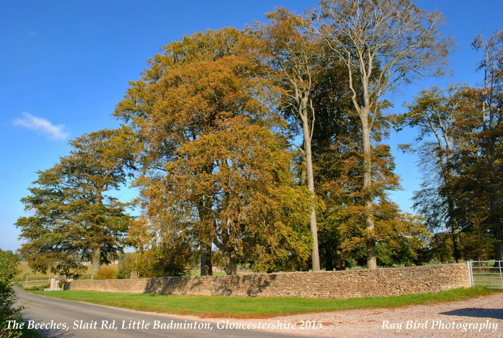 The Beeches, Slait Road, Little Badminton, Gloucestershire 2015