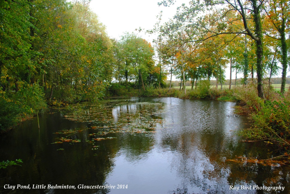 Clay Pond, Little Badminton, Gloucestershire 2014