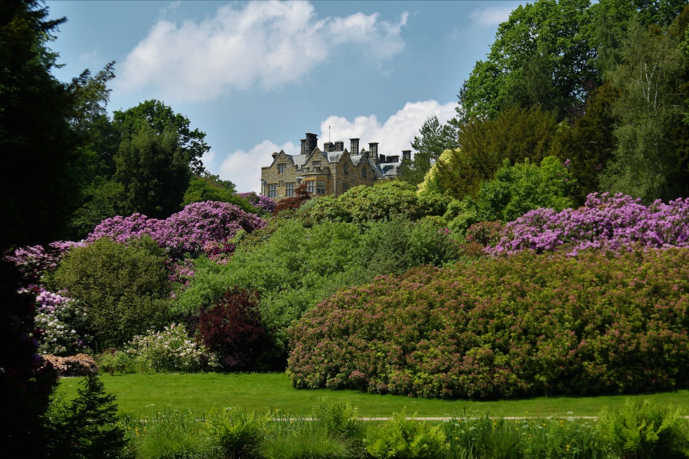 Scotney House