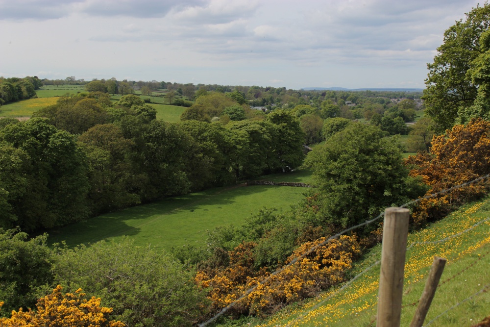 The Tees valley,  Eggleston