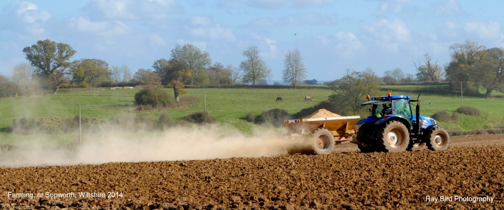Farming, nr Sopworth, Wiltshire 2014