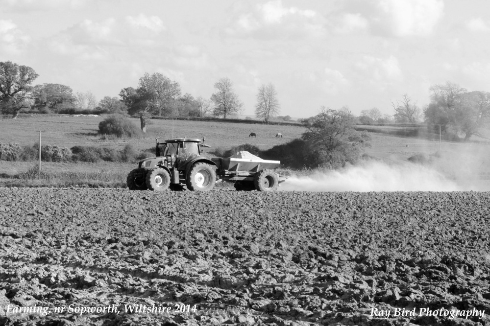 Farming, nr Sopworth, Wiltshire 2014