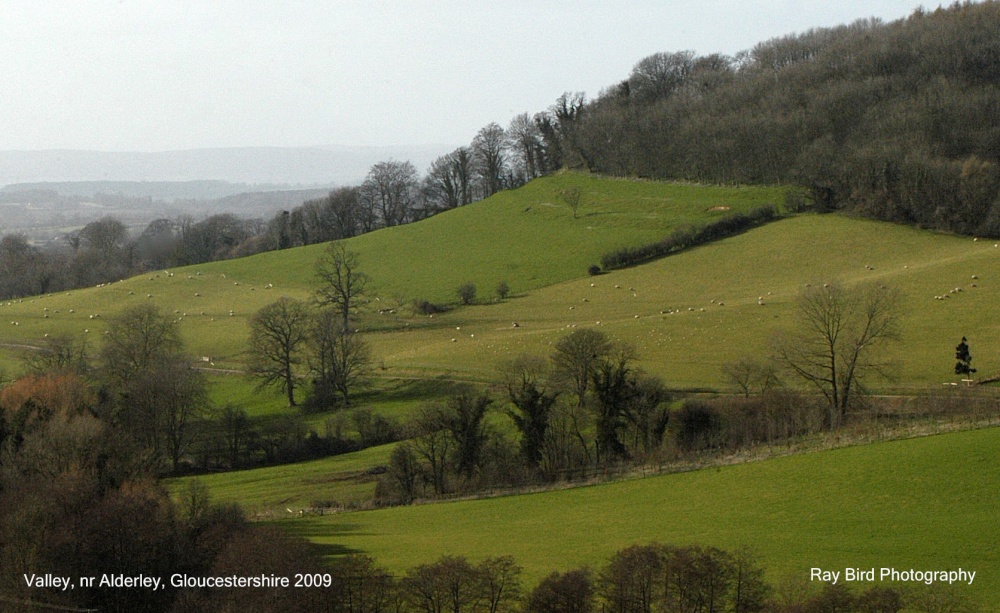 Valley, nr Alderley, Gloucestershire 2009