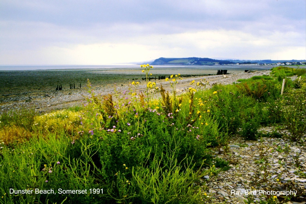 Beach, nr Dunster, Somerset 1991