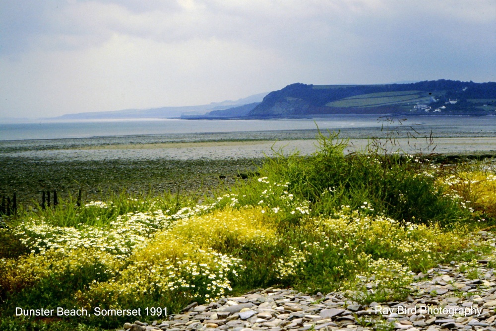 Beach, nr Dunster, Somerset 1991