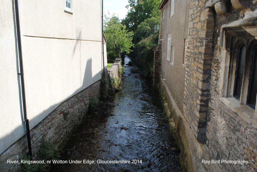 Little Avon, Kingswood, nr Wotton Under Edge, Gloucestershire 2014