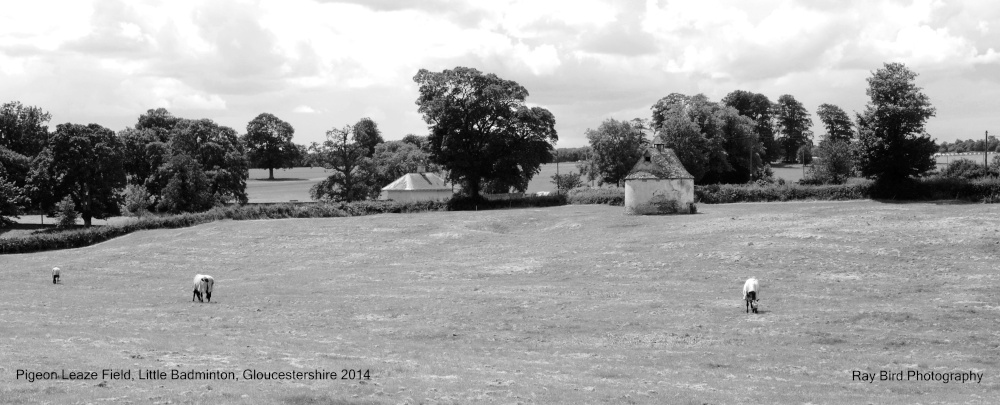 Pigeon Leaze Field, Little Badminton, Gloucestershire 2014