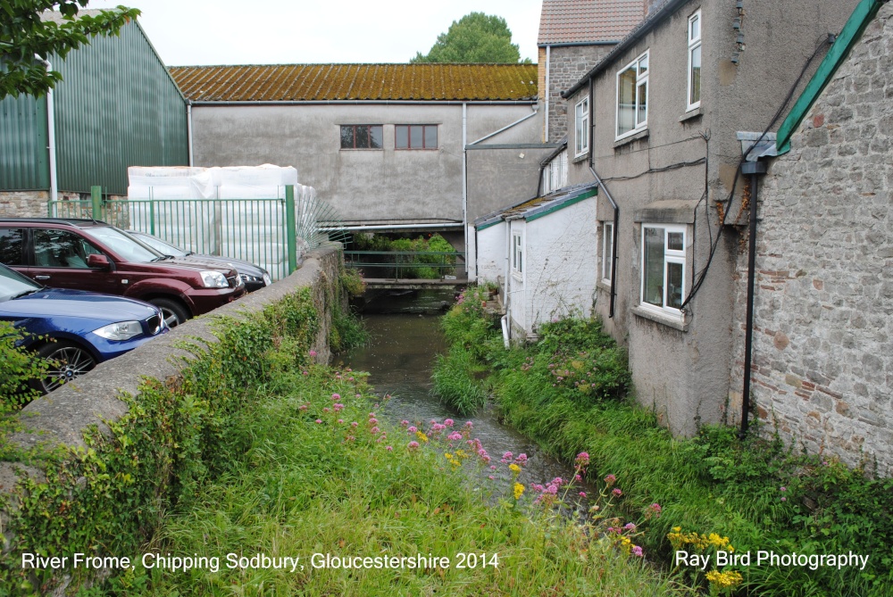 River Frome, Chipping Sodbury, Gloucestershire 2014